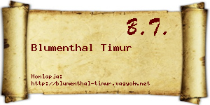 Blumenthal Timur névjegykártya